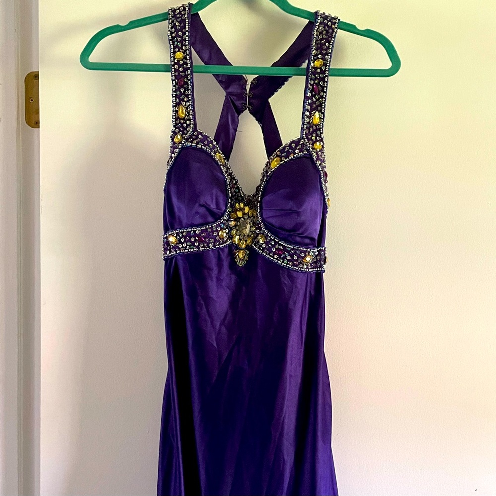 Long Marci Gras/ Prom dress